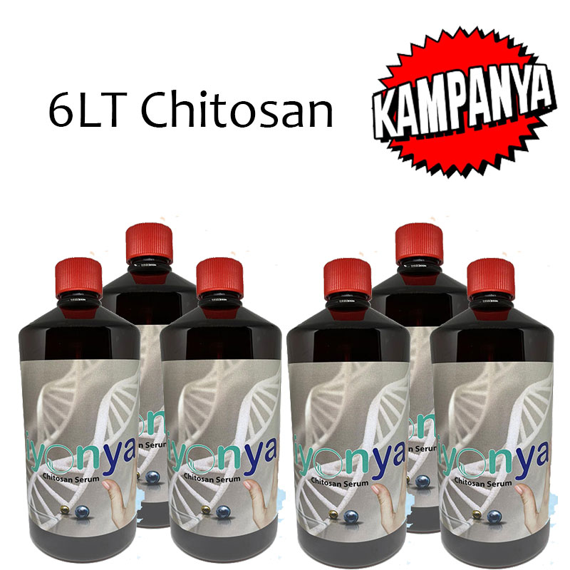 6LT Kitosan